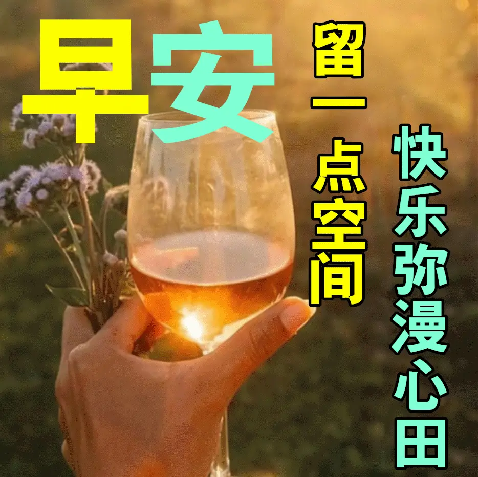 whatsapp下载_whatsapp_whatsapp官网