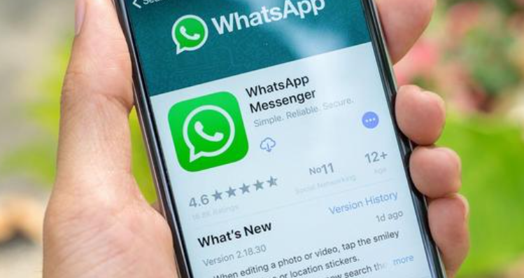 官网下载路线_官网下载安装_whatsapp怎么下载官网