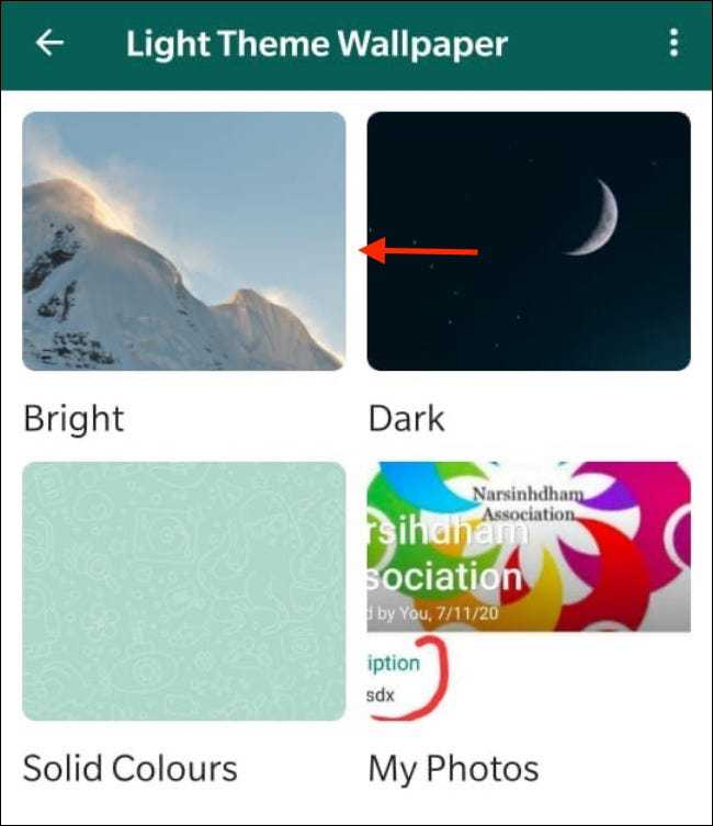 官方whatsapp下载不了_whatsapp官方app_官方whatsapp安卓