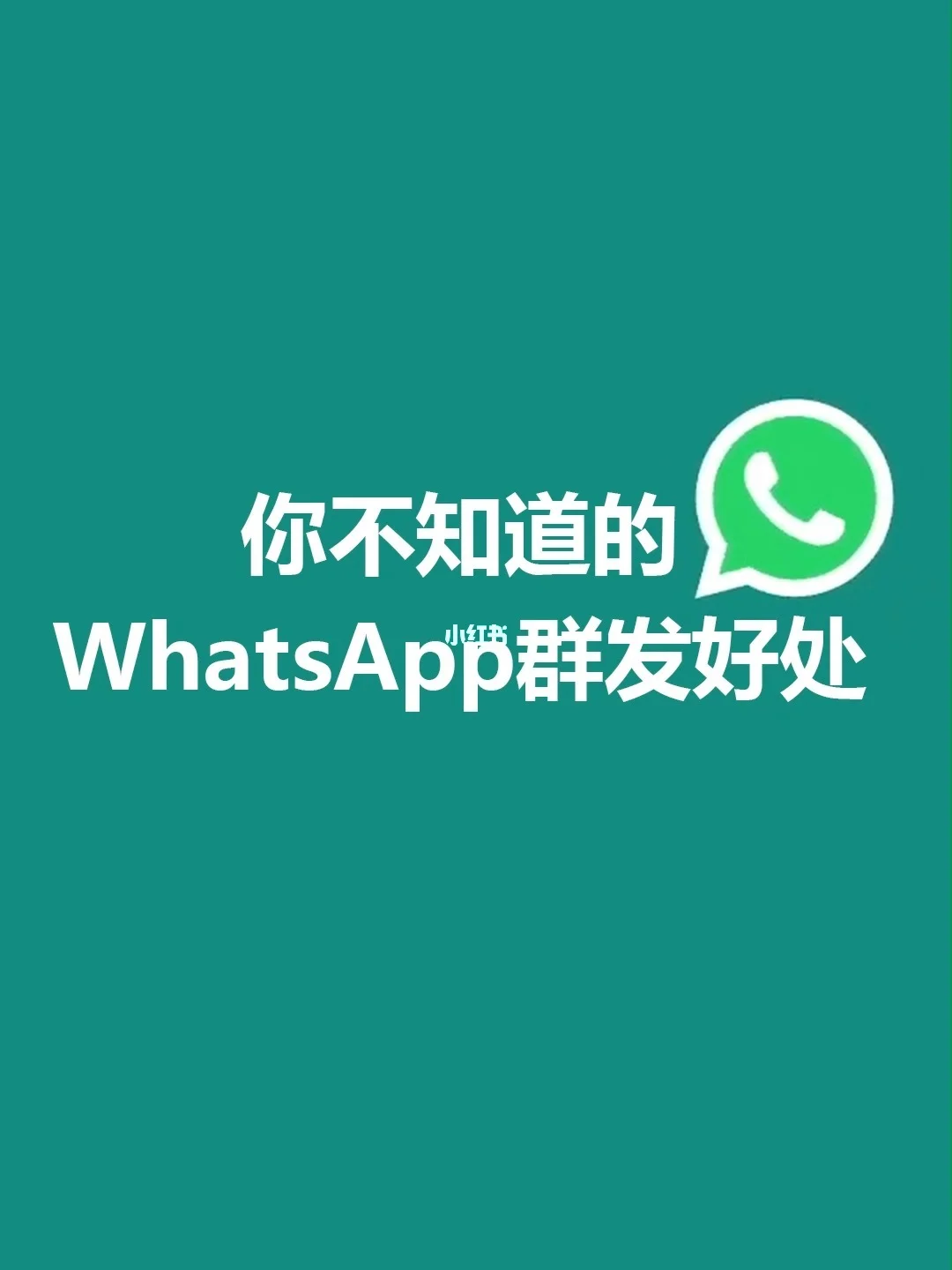 正版官方微信下载安装_正版官方的浙江风采网_whatsapp官方正版