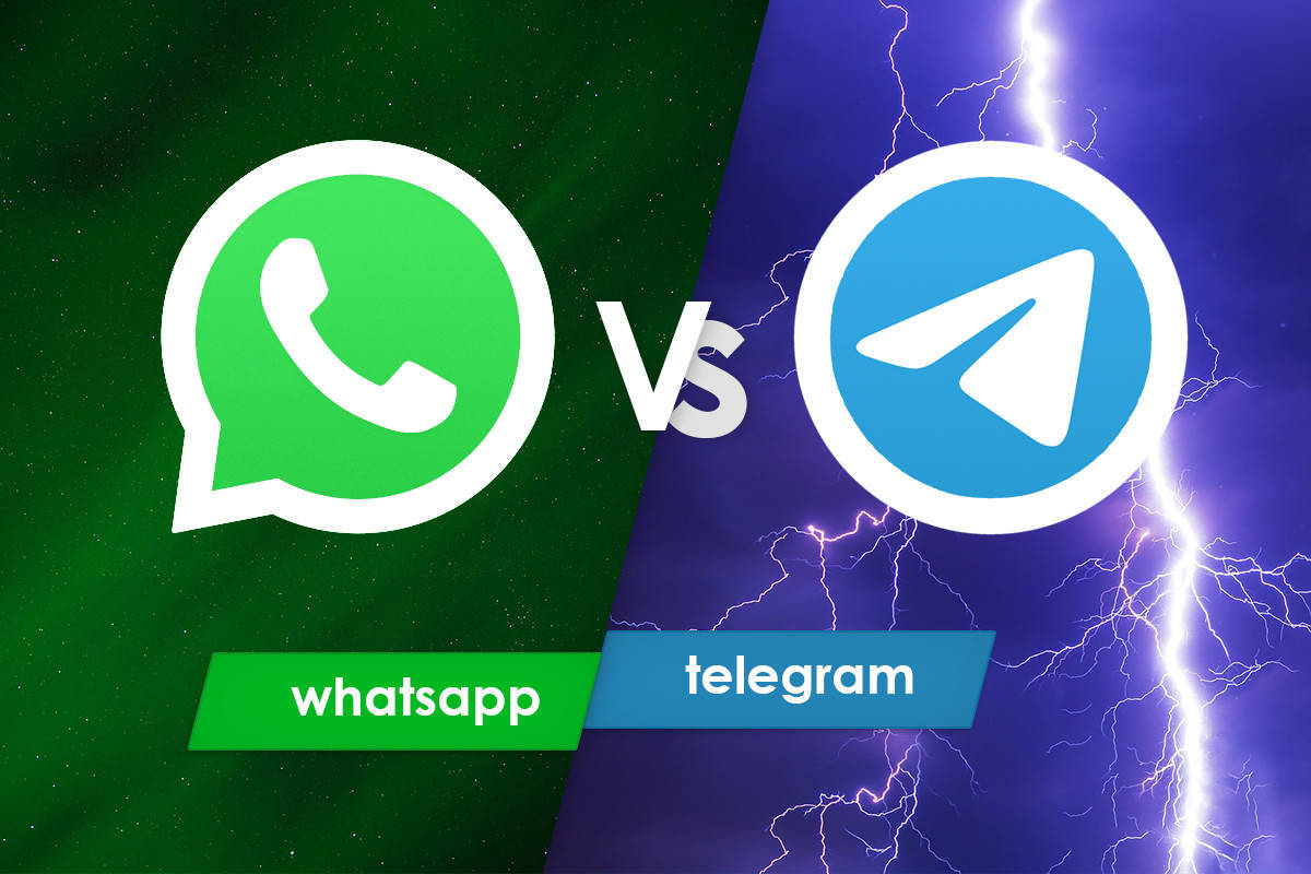 whatsapp官网版下载-WhatsApp：生活必备神器，