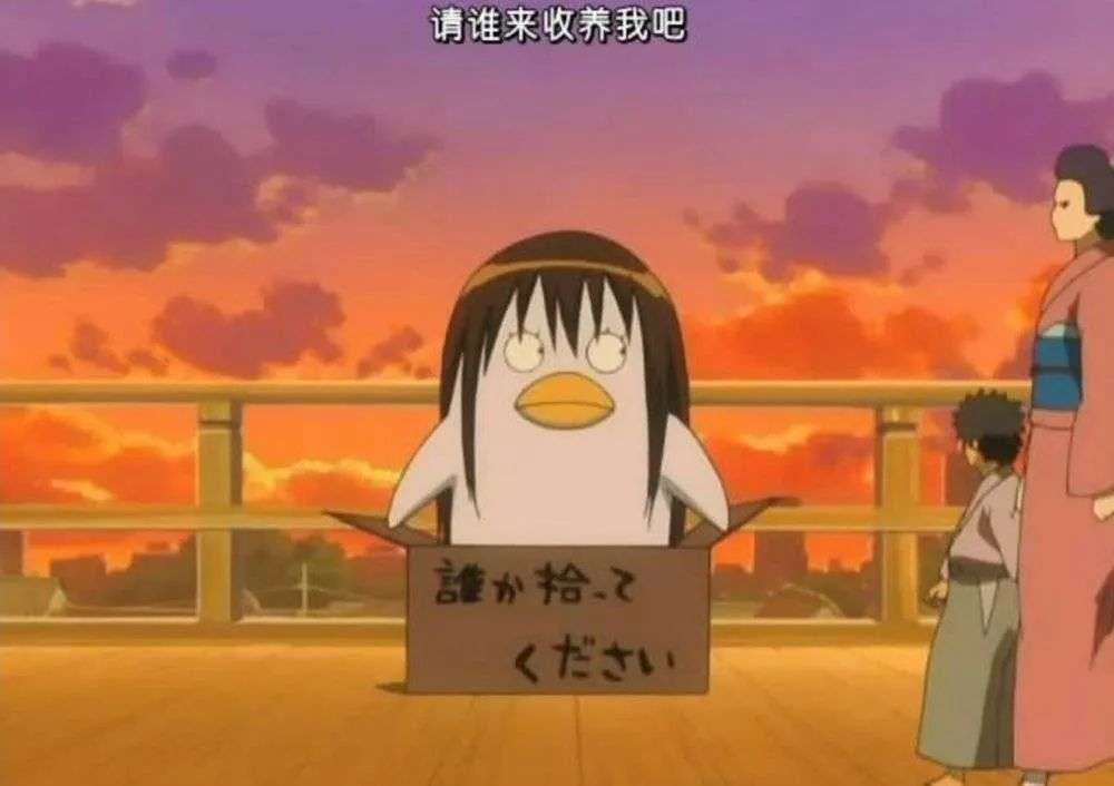 whatsapp-WhatsApp：手机里的魔法小精灵，传递
