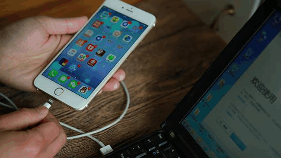 whatsapp怎么下载手机_下载手机银行app并安装_下载手机管家