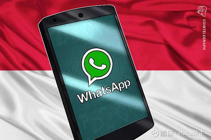 公司是企业吗_whatsapp是那个公司_公司是我家