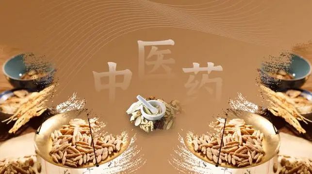普京手机娱乐_金普京软件app_安卓app下载新普京