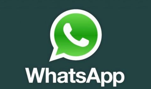 最新下载页面_最新下载软件_whatsapp下载最新