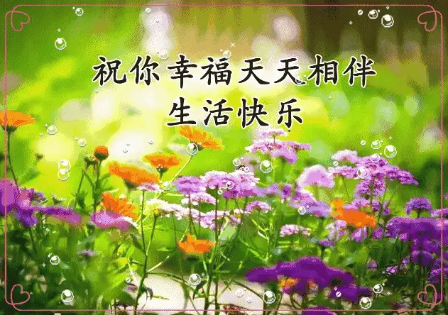 whatsapp动态图片下载_动态图片下载后不动了怎么办_动态图片下载后怎么就不动了呢