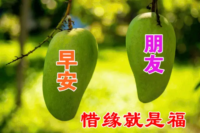 动态图片下载后怎么就不动了呢_动态图片下载后不动了怎么办_whatsapp动态图片下载