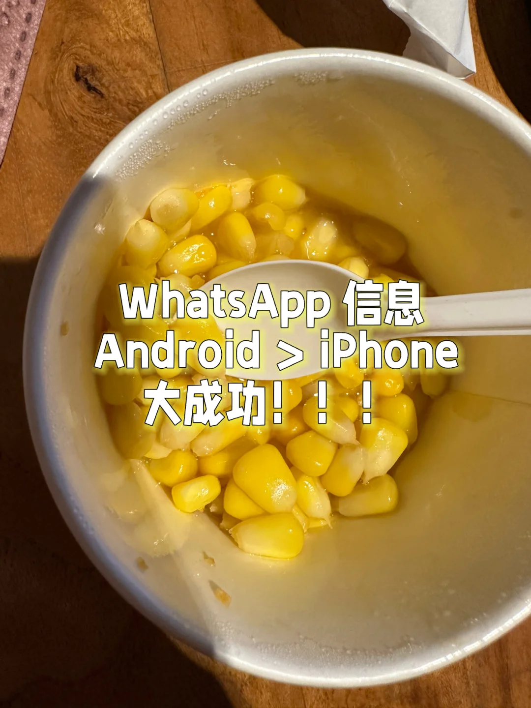 whatsapp安卓下载_安卓下载whatsapp方法_安卓下载whats