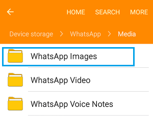 whatsapp怎么下载官网-如何从官网下载超级好用的通讯神