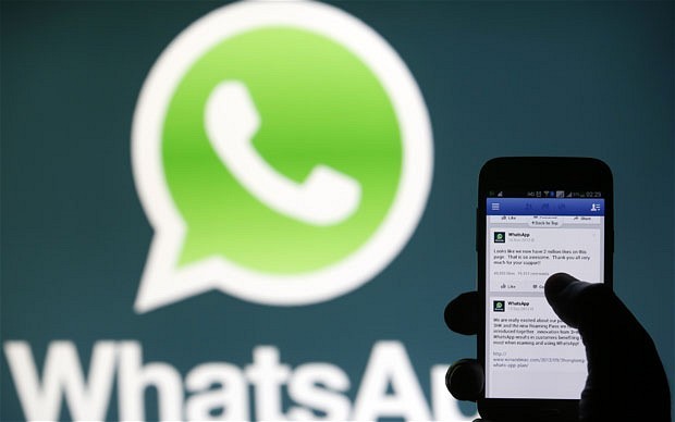 公司是我家_whatsapp是那个公司_公司是企业吗