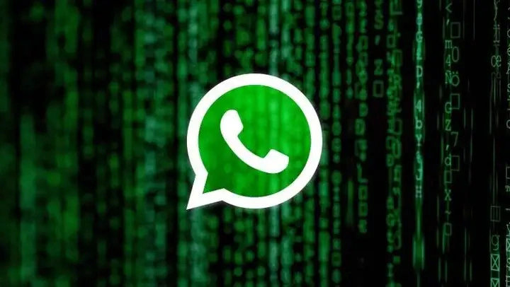 whatsapp最新版-WhatsApp 最新版来袭，界面帅