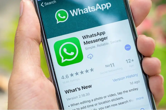 whatsapp官方app-WhatsApp 官方 App：