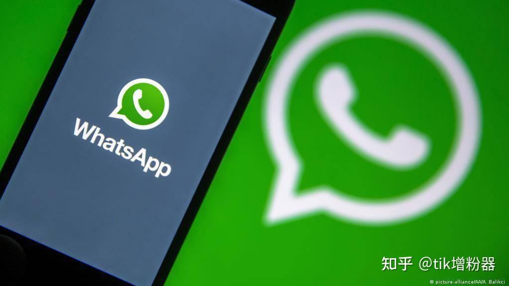 whatsapp安卓版_whatsapp安卓版_whatsapp安卓版