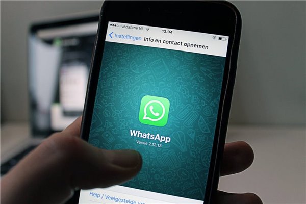 whats2.19.98下载-Whats2.19.98 下载