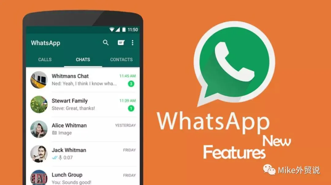 whats2.19.98下载-Whats2.19.98 软件