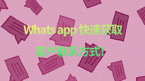 whatsapp怎么下载官网-从官网下载 WhatsApp 