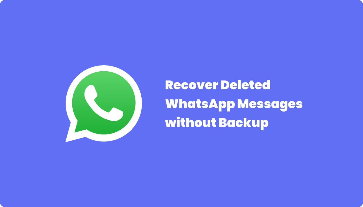 官方whatsapp免费下载-WhatsApp 免费下载：让