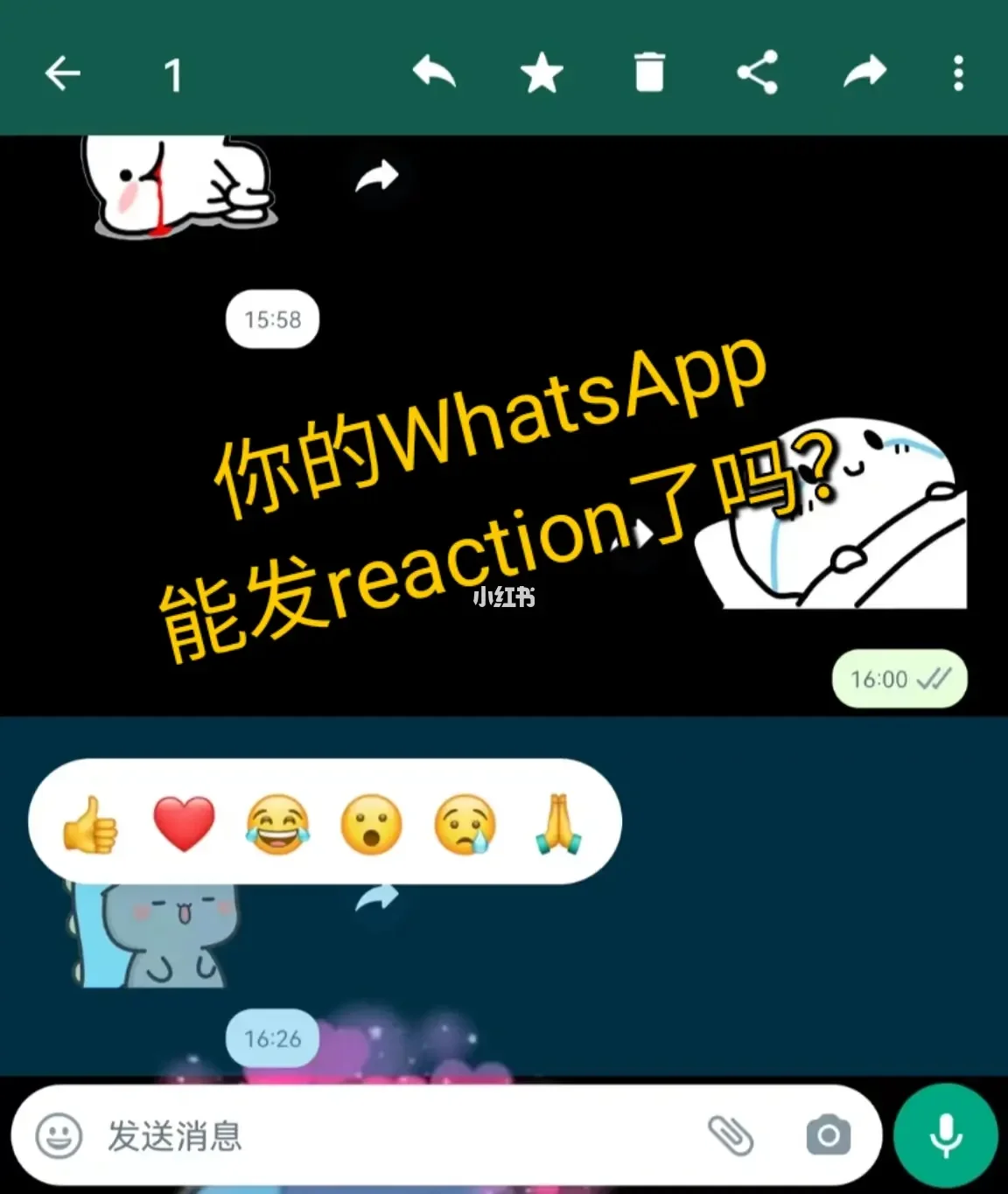 官网whatsapp下载安装_whatsapp官网下载_whatsapp官网版载