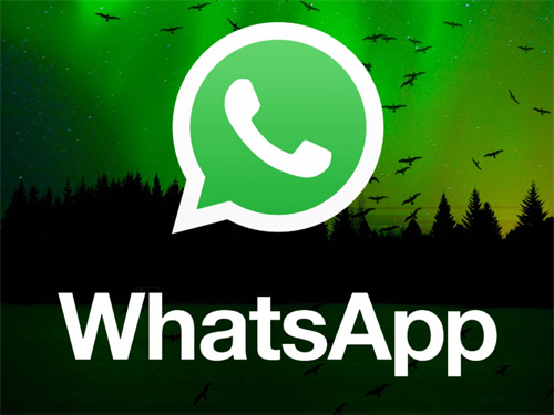 whatsapp官网下载-WhatsApp：手机里的超级英雄