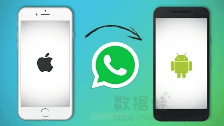 whatsapp怎么下载手机-超简单！教你如何轻松将 Wha