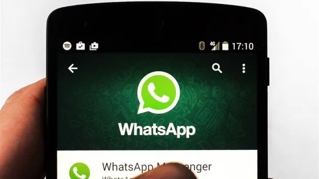 官方免费下载Zoom_官方whatsapp免费下载_官方免费下载APP