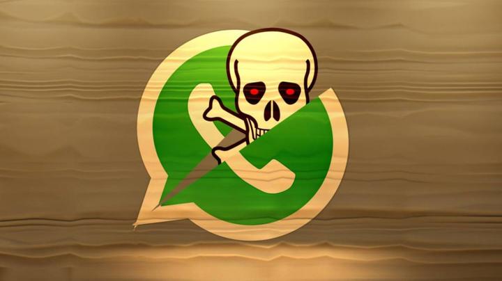 官方whatsapp免费下载-免费下载官方 WhatsApp