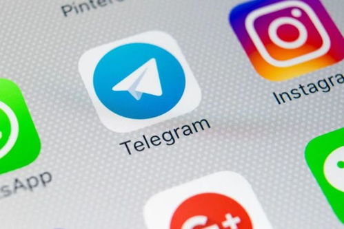 whatsapp表情 图解,轻松掌握聊天表情含义