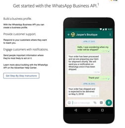 whatsapp收费,对话类型分类及费用变动全解读