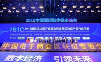 区块链专业委员会,推动技术创新与产业融合的先锋力量