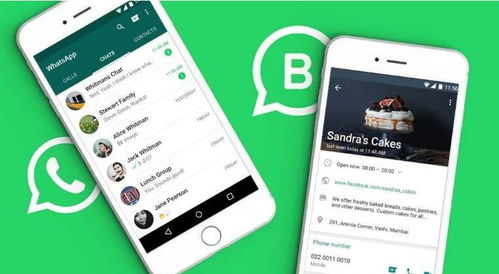 whatsapp商务版下载,轻松开启企业沟通新篇章