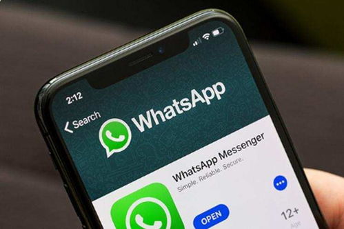 whatsapp 动物背景图片,WhatsApp背景图片中的动物世界掠影
