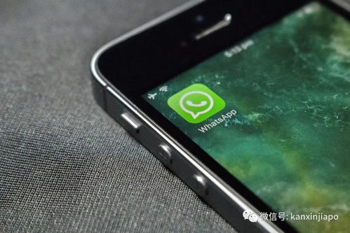 whatsapp没有网能打电话嘛,WhatsApp无网络能否打电话？