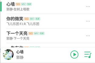 Whatsapp如何分享歌曲,轻松传递旋律与情感