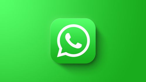 WhatsApp没有铃声通知,WhatsApp静音通知设置后仍无铃声提醒的解决方