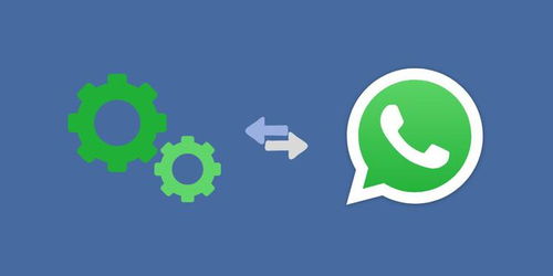 whatsapp是怎么样的,提升信息传播效果