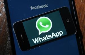 whatsapp文件储存位置,轻松找到你的聊天记录与媒体文件