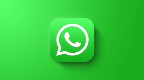 whatsapp怎么显示朋友圈图片,WhatsApp朋友圈图片显示技巧解析