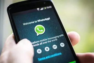 whatsapp两个对勾代表什么,WhatsApp双对勾的含义解析
