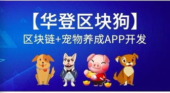 区块链养犬,创新犬证办理与宠物安全追踪新篇章