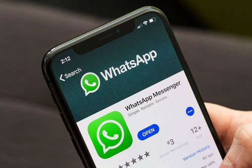 whatsapp蓝勾,灰勾与蓝勾的秘密含义