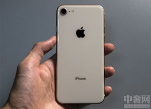 iphone8不能用skype,Skype兼容性问题解析