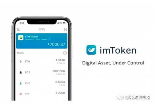 imtoken钱包转入可盈可乐,开启可盈可乐投资新篇章